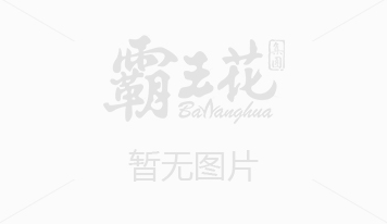 副省长佟星调研我市中小企业发展情况时强调——像抓重大项目一样扶持中小企业