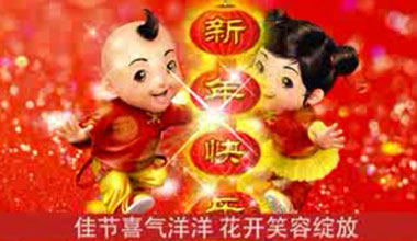 霸王花2013贺年广告
