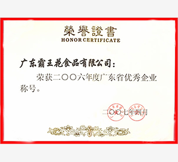 广东省优秀企业