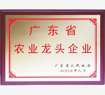广东省农业龙头企业