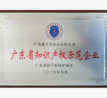 广东省知识产权示范企业
