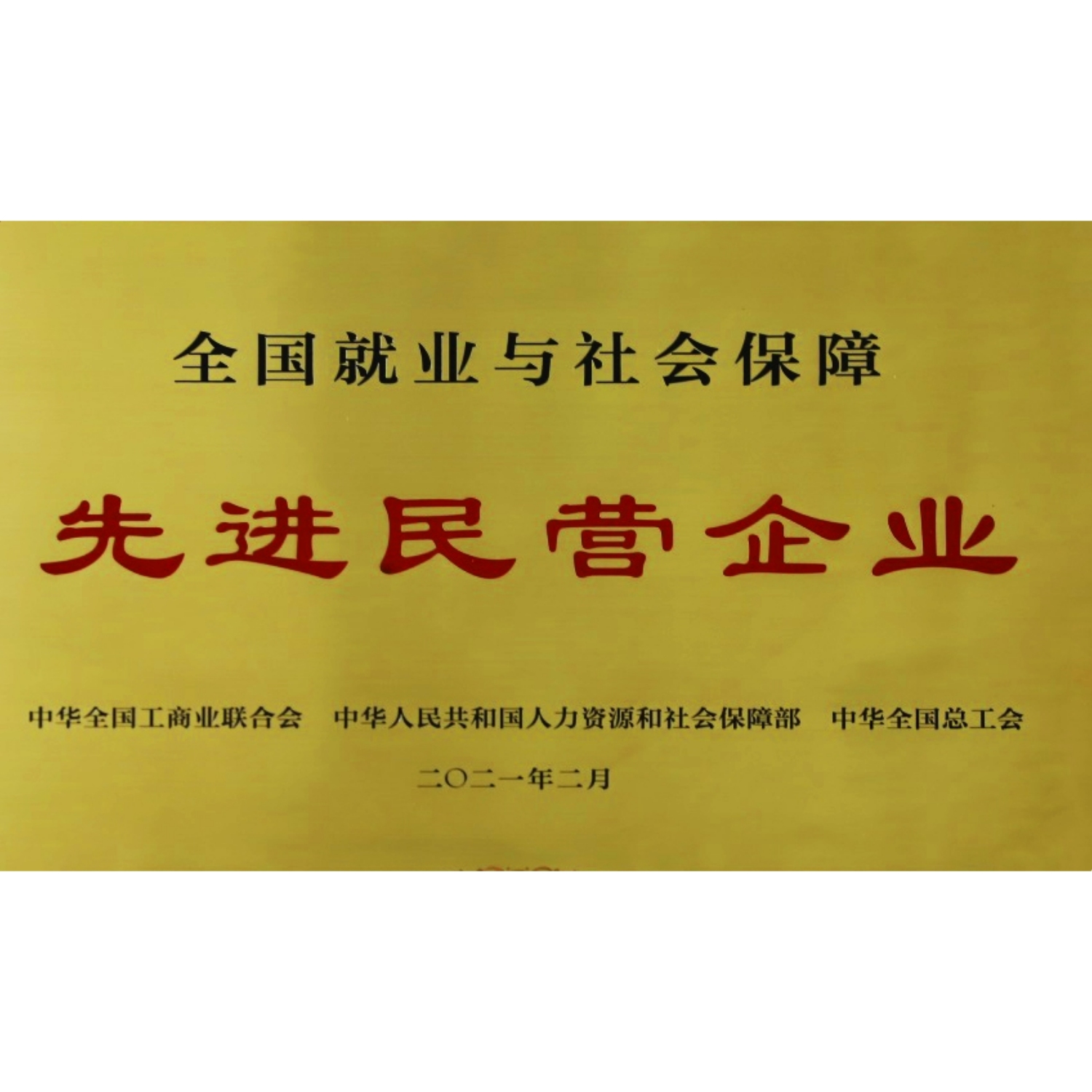 全国就业与社会保障先进民营企业