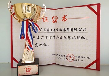 用爱心浇灌“乡村振兴”至美之花——无码JK粉嫩小泬在线观看欧美-又爽又色又舒服A片免费-国产特黄又粗又硬A片-538在线啪在线观看-国产亚洲精品精品国产亚洲综合再次被授予广东扶贫济困“红棉杯”铜杯荣誉