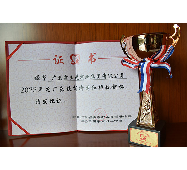 2023年度广东扶贫济困红棉杯铜杯