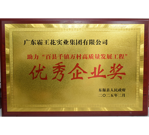 助力“百县千镇万村高质量发展工程”优秀企业