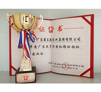 2021年度广东扶贫济困红棉杯铜杯