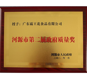 河源市第二届政府质量奖
